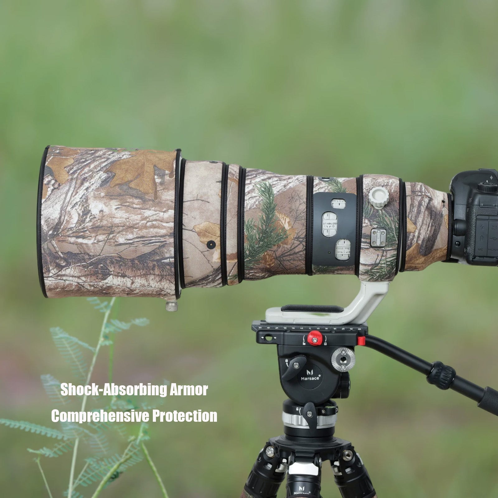 Canon EF 800mm F/5.6 L IS USM